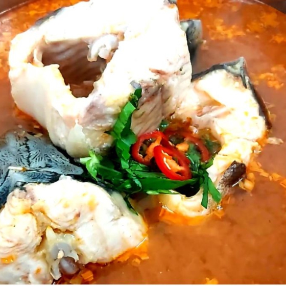 lẩu cá tầm