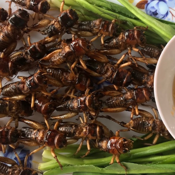 Dế chiên giòn