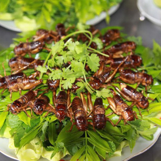 Dế chiên mắm